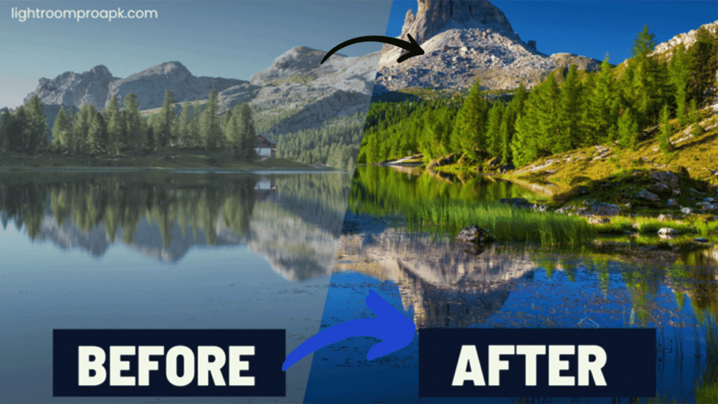 Lightroom PC 1 1536x864 Recovered.webp 0002 sdsd4 copy 7