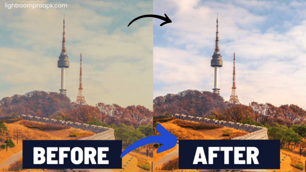 Lightroom PC 1 1536x864 Recovered.webp 0007 sdsd4 copy 2