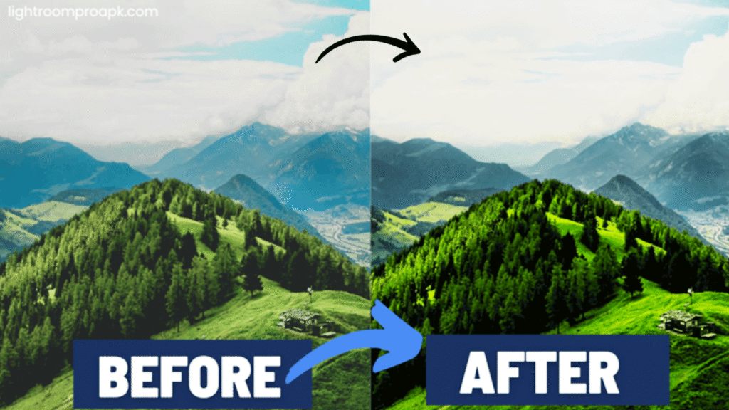 Lightroom PC 1 1536x864 Recovered.webp 0008 sdsd4 copy